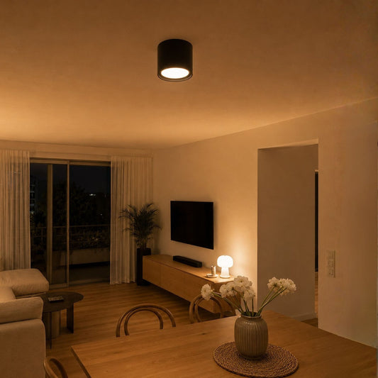 Deckenleuchte Vexo - Dimmbarer LED Deckenstrahler in Schwarz & Weiß
